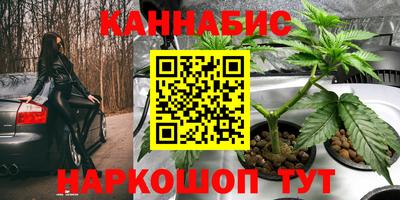 эйфоретик Будённовск