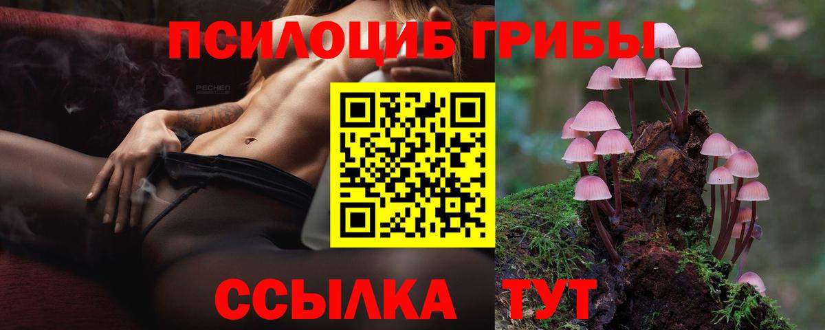 Галлюциногенные грибы Psilocybe Старый Оскол